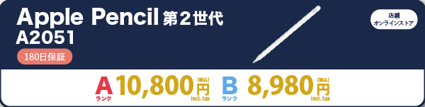 Apple Pencil	A2051